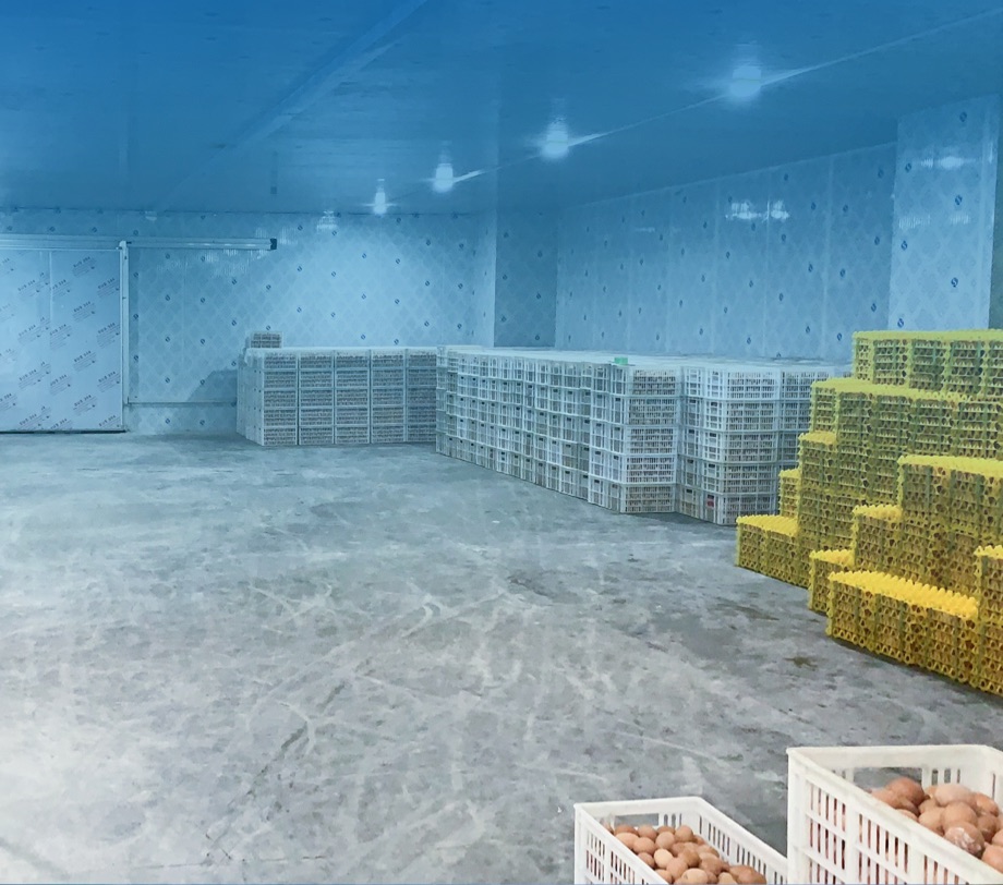 egg cold storage room 